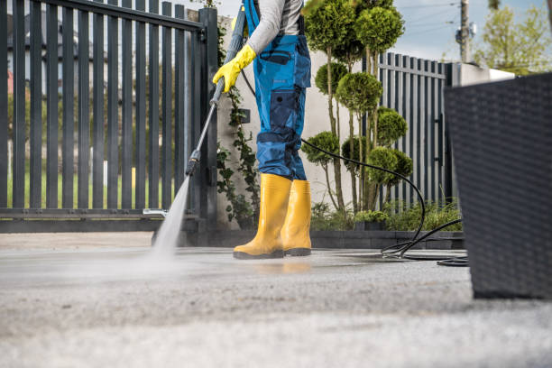 Local Pressure Washing Services in Amelia Court House, VA