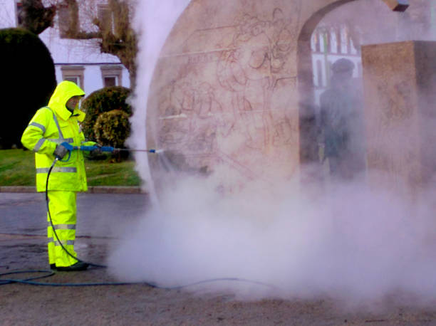 Best Roof Pressure Washing  in Amelia Court House, VA